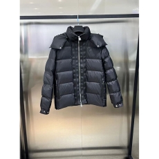 Louis Vuitton Down Jackets